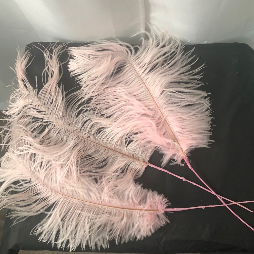 Feather Plumes